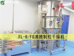 FL-B/FG 型沸腾制粒干燥机